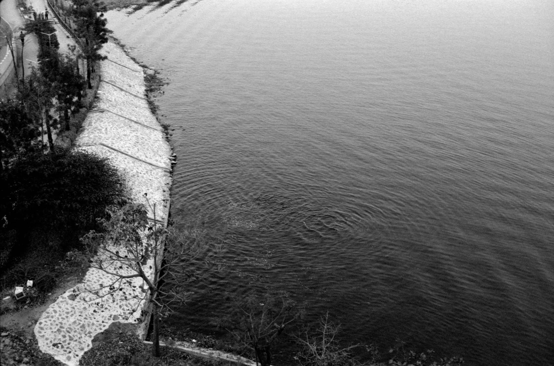 Ripples